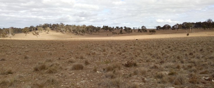 Oliver Grove Solar Farm